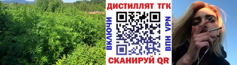 как найти закладки  Новоуральск  ТГК вейп 