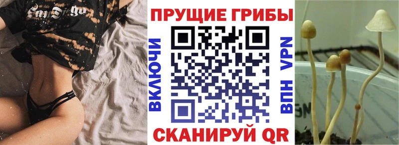 Псилоцибиновые грибы мицелий  MEGA как зайти  Новоуральск 